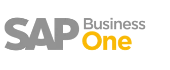 SAP B1 SAP B1