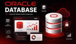 apa itu database oracle